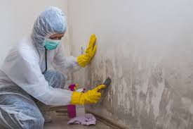 Best Biohazard Mold Removal  in Thermopolis, WY